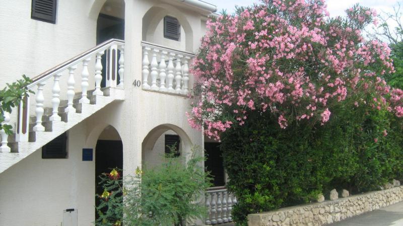Apartments Mint Povljana - 50M From Sandy Beach المظهر الخارجي الصورة