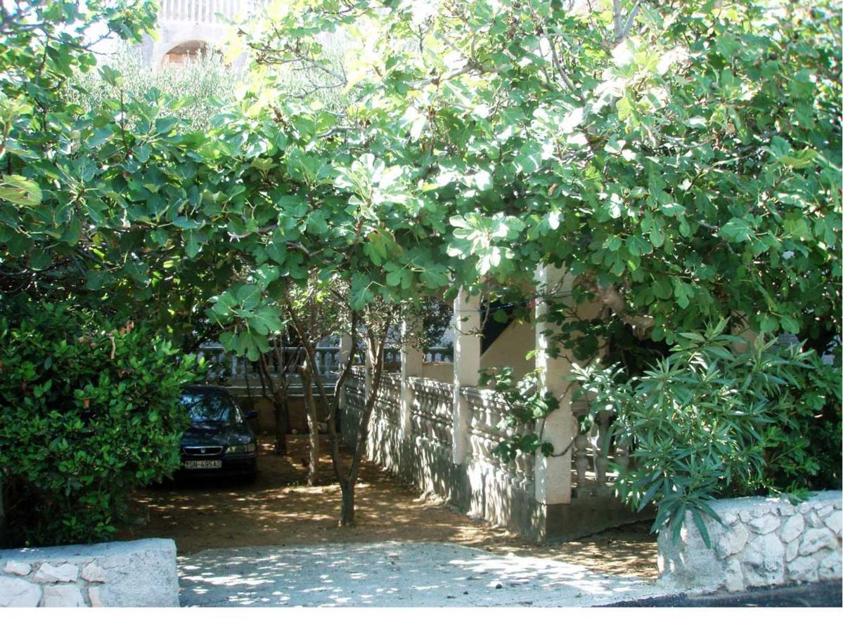 Apartments Mint Povljana - 50M From Sandy Beach المظهر الخارجي الصورة