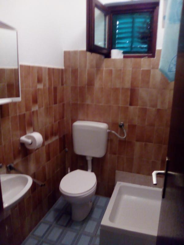 Apartments Mint Povljana - 50M From Sandy Beach المظهر الخارجي الصورة