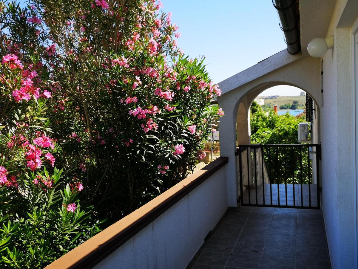 Apartments Mint Povljana - 50M From Sandy Beach المظهر الخارجي الصورة