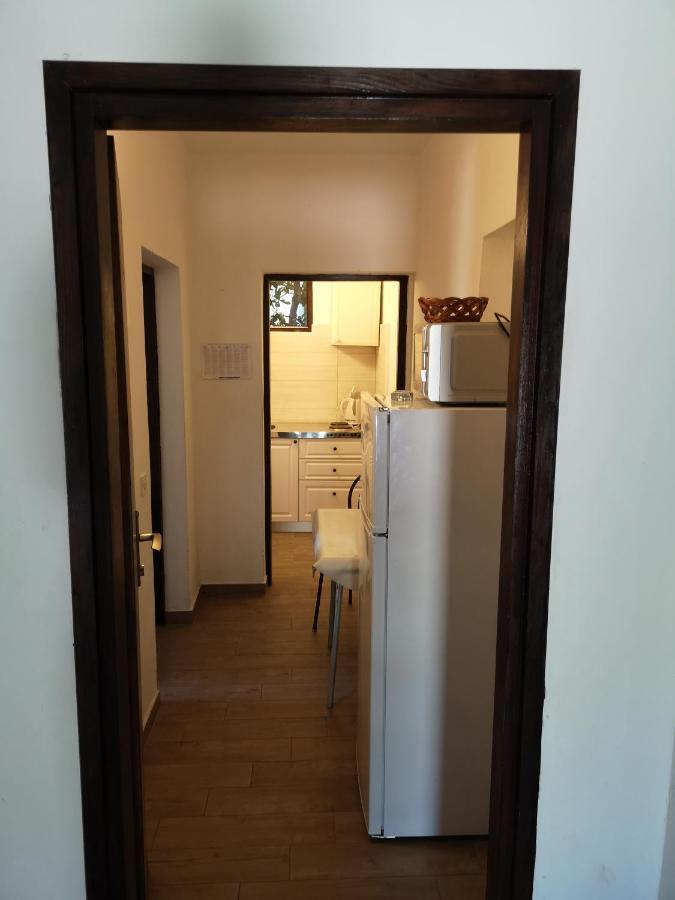Apartments Mint Povljana - 50M From Sandy Beach المظهر الخارجي الصورة