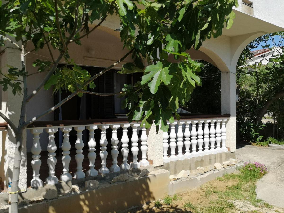 Apartments Mint Povljana - 50M From Sandy Beach المظهر الخارجي الصورة